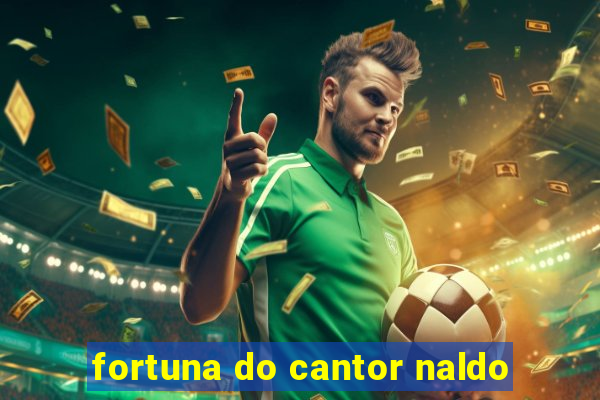 fortuna do cantor naldo